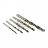 Juego de 5 Brocas para Madera Black&Decker BD0050CS